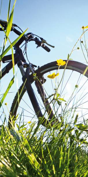 Bike offers Xanten Niederrhein