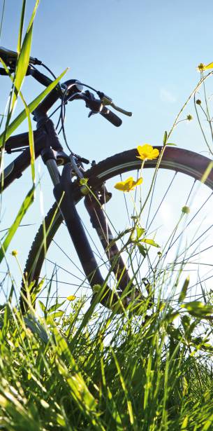 Fahrradfahren in Wesel Niederrheinroute