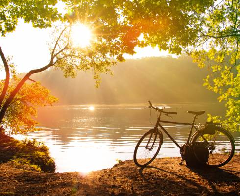 Radfahren am Rhein