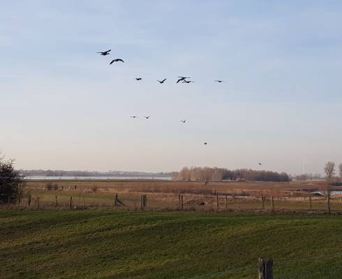 Übernachtung in Wesel