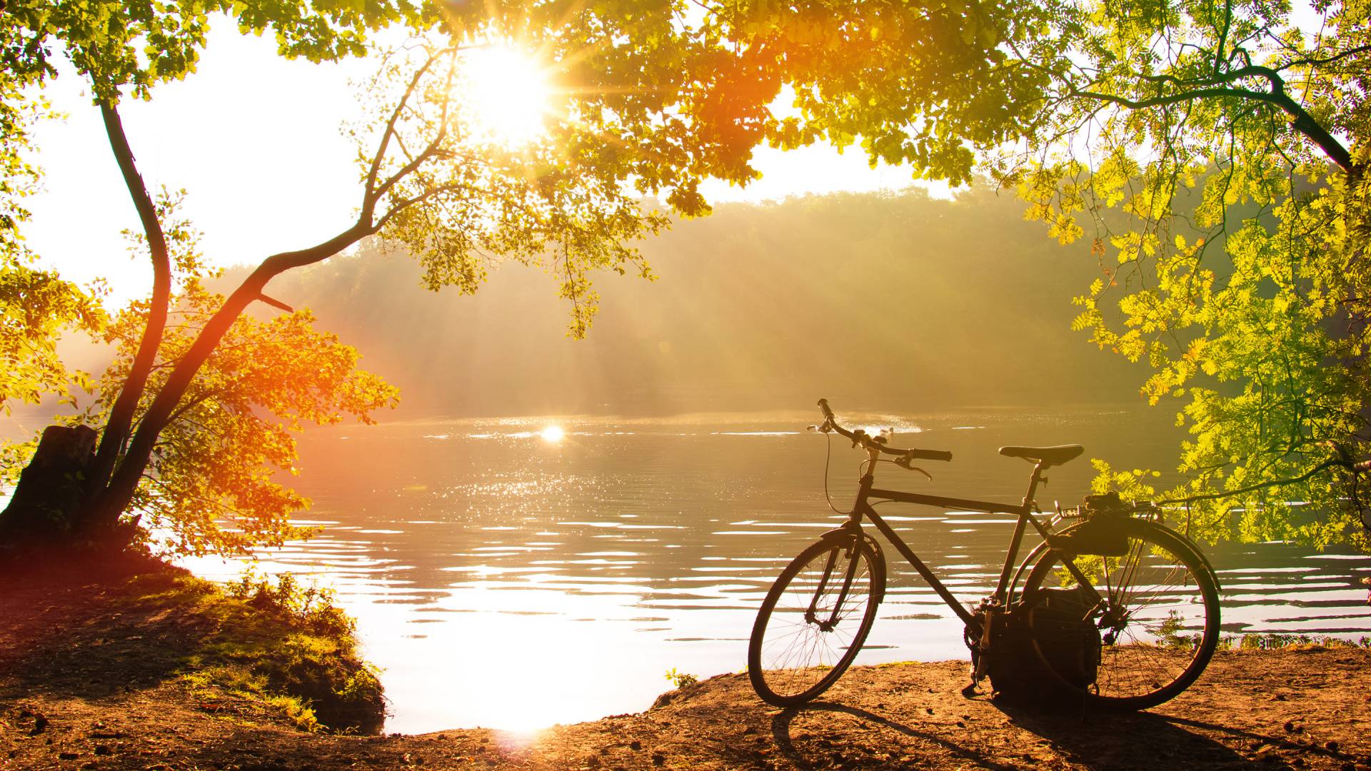 Rhein Radfahren